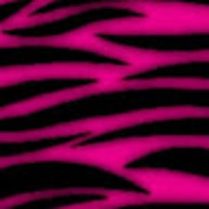 Meet your Posher, Raylan